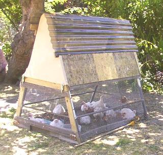 Chicken Tractor